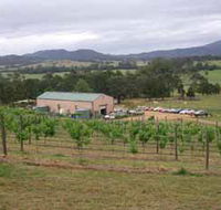 Villa d Esta Vineyard - Accommodation Mount Tamborine