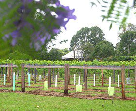 Douglas Vale Historic Homestead & Vineyard - Accommodation Mount Tamborine 0