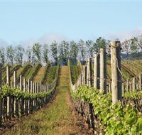 Philip Shaw Wines - Accommodation Mount Tamborine