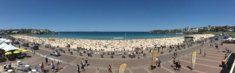 Real Sydney Tours - Accommodation Mount Tamborine 2