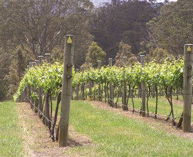 Diamond Creek Estate Cellar Door - Accommodation Mount Tamborine 2