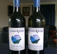 Thunder Ridge Wines - Accommodation Mount Tamborine