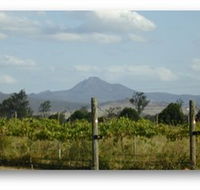 Ironbark Ridge Vineyard - Accommodation Mount Tamborine