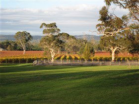 Top Note Vineyard - Accommodation Mount Tamborine 0