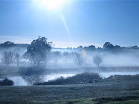 Top Note Vineyard - Accommodation Mount Tamborine 3