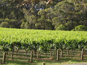 Top Note Vineyard - Accommodation Mount Tamborine 2
