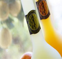 Ambra Limoncello - Accommodation Mount Tamborine