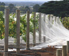 Paradigm Hill - Accommodation Mount Tamborine 1