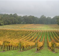Boat O'Craigo Wines - Accommodation Mount Tamborine