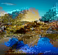 Loira Vines - Accommodation Mount Tamborine