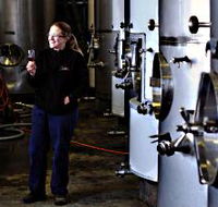 Holm Oak Vineyard - Accommodation Mount Tamborine