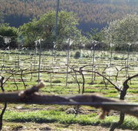 Three Willows Vineyard - Accommodation Mount Tamborine