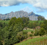 Lake Barrington Vineyard - Accommodation Mount Tamborine