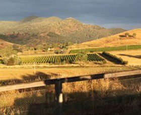 Optimiste Wines - Accommodation Mount Tamborine 0