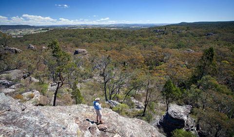 Munghorn Gap Nature Reserve - Accommodation Mount Tamborine 1
