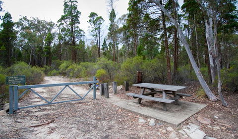 Munghorn Gap Nature Reserve - Accommodation Mount Tamborine 2