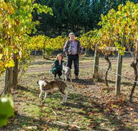 Little River Wines of Taggerty - Accommodation Mount Tamborine