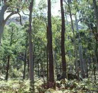 Cathedral Range State Park - Accommodation Mount Tamborine