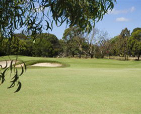 Curlewis Golf Club - Accommodation Mount Tamborine 0