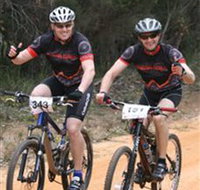 Trailhead Bike Co.