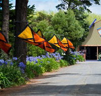Oakdene Vineyards Restaurant and Cellar Door - Accommodation Mount Tamborine