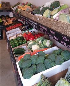Farmers Harvest - Accommodation Mount Tamborine 1