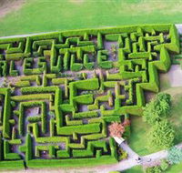 Hedgend Maze and Healesville Laser Sport - Accommodation Mount Tamborine
