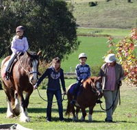 Bathurst Farm Experience - Accommodation Mount Tamborine
