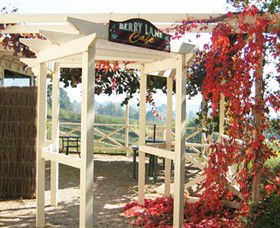 Blue Hills Berries & Cherries - Accommodation Mount Tamborine 1