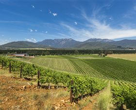 Feathertop Winery - Accommodation Mount Tamborine 3