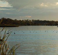 Lake Inverell Reserve - Accommodation Mount Tamborine