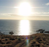 Southend Curtis Island - Accommodation Mount Tamborine