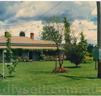 Tumut Valley Violets - Accommodation Mount Tamborine