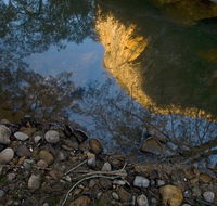 Abercrombie Karst Conservation Reserve - Accommodation Mount Tamborine