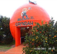 Gayndahs Big Orange - Accommodation Mount Tamborine