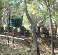 7 Oaks Sapphire Fossicking - Accommodation Mount Tamborine