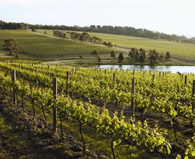 Yabby Lake Vineyard & Cellar Door - Accommodation Mount Tamborine 7