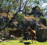 Coomba Falls - Accommodation Mount Tamborine