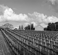 Willow Creek Vineyard - Accommodation Mount Tamborine