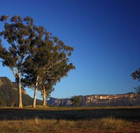Capertee Valley Bird Trail - Accommodation Mount Tamborine