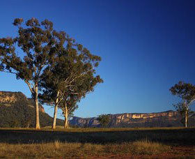 Capertee Valley Bird Trail - Accommodation Mount Tamborine 0