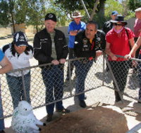 Fossil Rock - Accommodation Mount Tamborine