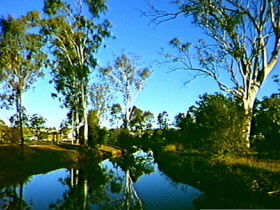 Dingo Creek Park - Accommodation Mount Tamborine 0