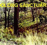 Oolong Sanctuary - Accommodation Mount Tamborine