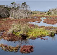 French Island National Park - Accommodation Mount Tamborine