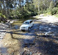 Aberfeldy Four Wheel Drive Track - Accommodation Mount Tamborine