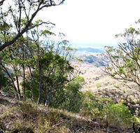 Boat Mountain Conservation Park - Accommodation Mount Tamborine