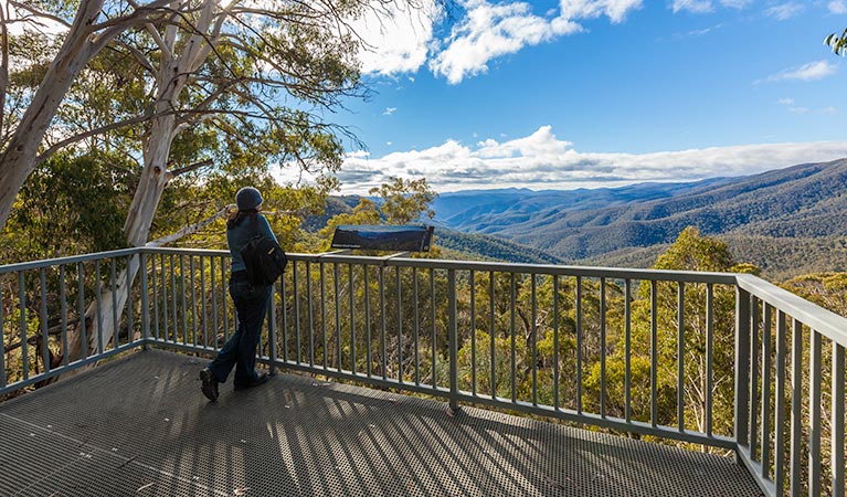  Accommodation Mount Tamborine