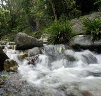 Washpool National Park - Accommodation Mount Tamborine