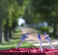 Lillico Glass Studio - Accommodation Mount Tamborine